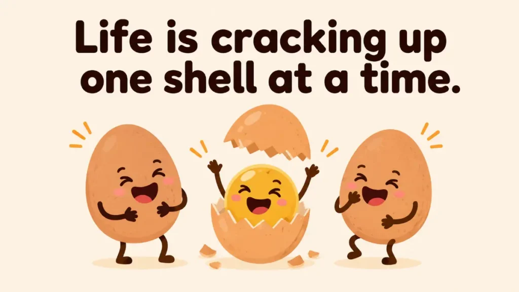 life-is-cracking-up-one-shell-at-a-time