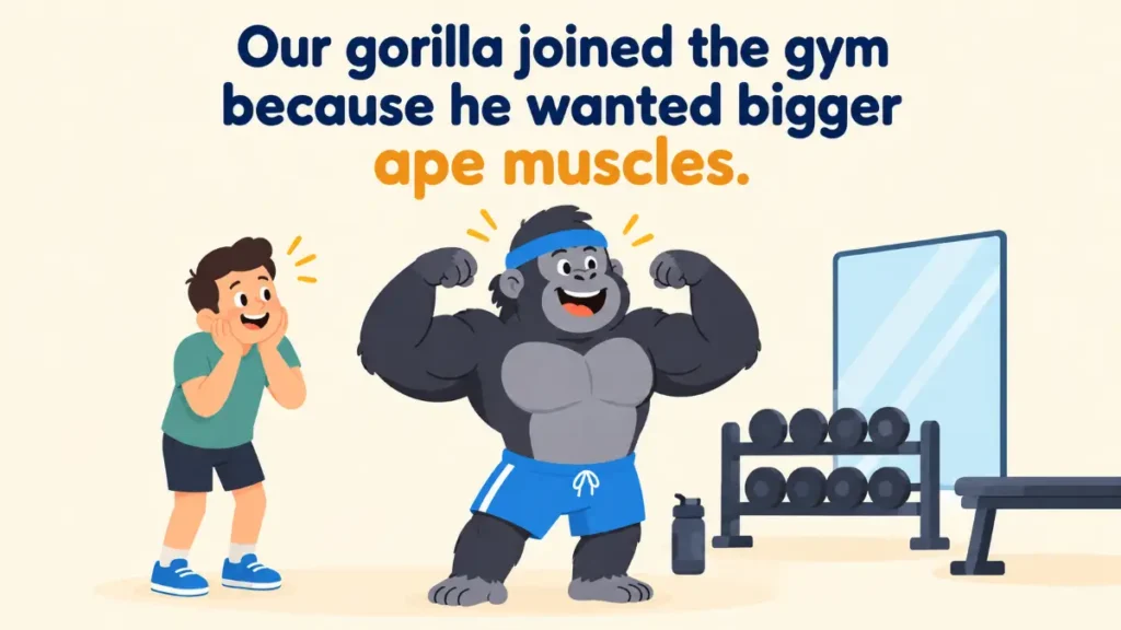 our-gorilla-joined-the-gym-because-he-wanted-bigger-ape-muscles